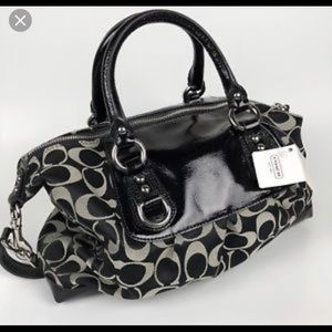 Coach Ashley Signature Bag